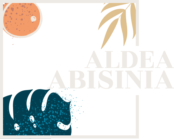 Abisinia-Review--BG-Decoration-Librerias-Aldea-Abisinia-Título